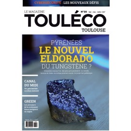 ToulÉco n°30 le Mag - Pyrénées Le nouvel éldorado