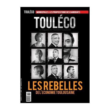 N°17 Les rebelles de l’économie Toulousaine